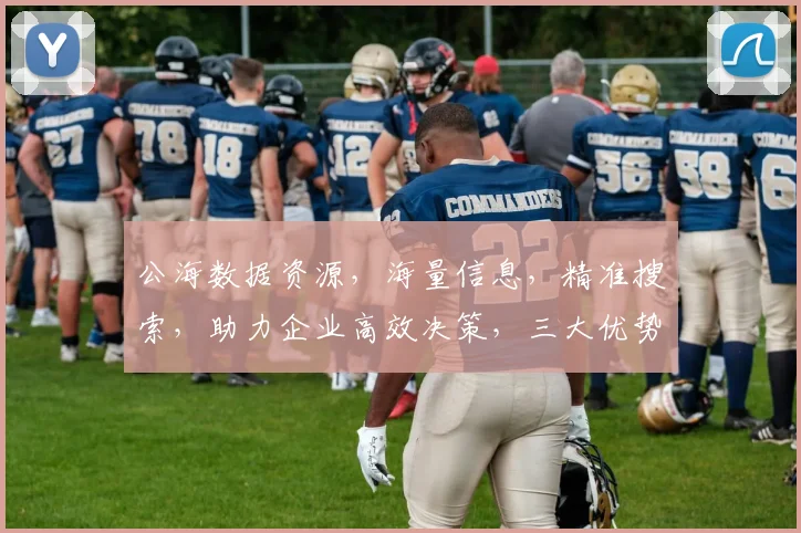 公海数据资源，海量信息，精准搜索，助力企业高效决策，三大优势，一网打尽。
