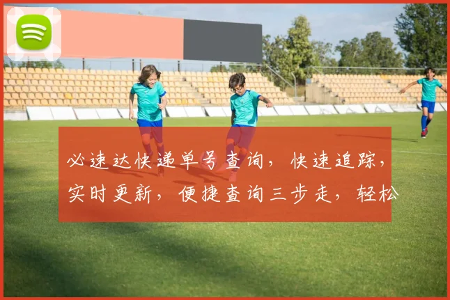 必速达快递单号查询，快速追踪，实时更新，便捷查询三步走，轻松查